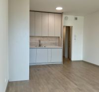I Predaj Výnimočný  1-izb apartmán v projekte Metropolis - Kuchyňa v 1-izbovom byte so svetlým nábytkom a podlahou s dreveným dekorom.