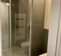 I Predaj Výnimočný  1-izb apartmán v projekte Metropolis - Kúpeľňa s preskleným sprchovacím kútom v 1-izbovom byte a rebríkovým radiátorom.