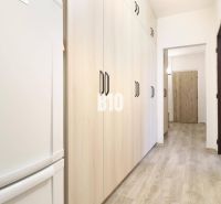 Na prenájom 3 izbový veľkometrážny byt Nováková ulica - Chodba v 3-izbovom byte s podlahou s dreveným dekorom a svetlými skriňami.