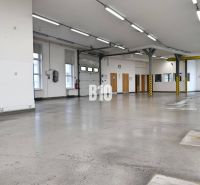 Výrobné a skladové priestory na prenájom Košťany nad Turcom - Svetlé výrobné priestory s betónovou podlahou a vysokým stropom.