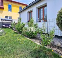 Ideálne bývanie: Zariadený dom 85m² s nízkymi nákladmi - Záhradný priestor pri rodinnom dome v Košťanoch nad Turcom s hojdačkou a sedením.
