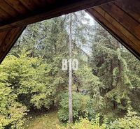 Blízko Rajeckých Teplíc Zaujímavá CHATA v pôvodnom stave - Výhľad z chaty v Kunerade na hustý les so smrekmi.