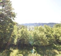 Úplné nová, drevom voňajúca Chata. - Lesnatá krajina pri chate v Bytči, slnečné lúče cez stromy.