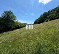 Slnečný stavebný pozemok Dolný Vadičov 7321m2 - Široká lúka s výhľadom, obklopená stromami v Dolnom Vadičove, ideálna pre pozemky na bývanie.