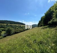 Slnečný stavebný pozemok Dolný Vadičov 7321m2 - Kopcovitá krajina s lúkou v Dolnom Vadičove, ideálna na pozemky - bývanie.