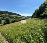 Slnečný stavebný pozemok Dolný Vadičov 7321m2 - Kopcovitý terén s lúkou a lesom v Dolnom Vadičove, ideálny na pozemky - bývanie.