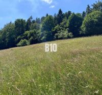 Slnečný stavebný pozemok Dolný Vadičov 7321m2 - Trávnatý pozemok v Dolnom Vadičove obklopený lesom, ideálny na bývanie.