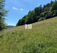 Slnečný stavebný pozemok Dolný Vadičov 7321m2 - Zelené lúky a lesy v Dolnom Vadičove, ideálne pre Pozemky - bývanie.