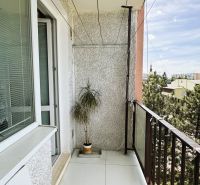 Štartovací byt s balkónom a výhľadom, ktorý vás bude baviť! - Balkón s bielou podlahou a rastlinou v 1-izbovom byte.