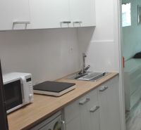 PRENÁJOM: ZARIADENÁ GARSÓNKA PRI NEMOCNICI F.D.R. - Kuchynský kút v garsónke so skrinkami, mikrovlnkou a podlahou s dreveným dekorom.
