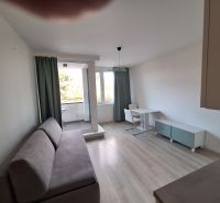 Ponúka na prenájom garsónku v komplexe Čerešne, Polianky Bratis - Garsónka s podlahou s dreveným dekorom, pohovkou, stolom a vstupom na balkón.