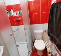 1 izbový byt na predaj rekonštrukcia, Martin centrum, nový balkón - Kúpeľňa v 1-izbovom byte s červenými obkladačkami a sprchovacím kútom.
