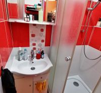 1 izbový byt na predaj rekonštrukcia, Martin centrum, nový balkón - Kúpeľňa s červenými obkladmi, sprchovacím kútom a umývadlom v 1-izbovom byte.