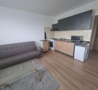 Iba u nás prenajom zariadeneho 1izb bytu - Obývacia časť 1-izbového bytu s podlahou s dreveným dekorom, pohovkou a kuchynskou linkou.