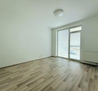 Ponúka na prenájom 2,5- izbový byt Devínska Nová Ves - Izba v 2-izbovom byte s podlahou s dreveným dekorom a vstupom na balkón.