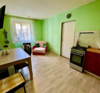 EXKLUZÍVNY PREDAJ - 2-izbový byt byt s predzáhradkou v srdci Nitry - Obývacia izba s kuchyňou v 2-izbovom byte s podlahou s dreveným dekorom.