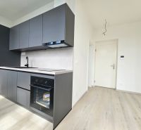 VÝNIMOČNÝ SLNEČNÝ APARTMÁN v centre mesta, UNO Poštová - Kuchynská linka so zabudovanou rúrou a podlaha s dreveným dekorom v 1-izbovom byte.