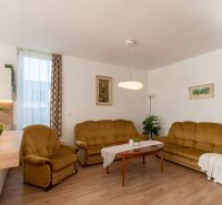 Moderný 2-izbový apartmán s parkovaním, Vila Leonardo, Bajkalská - Obývačka 2-izbového bytu s pohovkami, rastlinou a podlahou s dreveným dekorom.