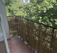 Prenájom: 2i-byt v centre mesta v tichej ul. na Dobrovského s balkónom - Balkón s výhľadom na zeleň v 2-izbovom byte na Dobrovského ulici, Bratislava Staré mesto.