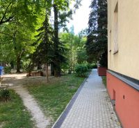 Byt na rekonštrukciu v centre Bratislavy – výborný projekt - Pokojné prostredie s chodníkom a zeleňou pri Legionárskej ulici v Bratislave.