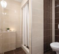 Slnečný 2i byt s loggiou, garáž, pivnica, novostavba, Stromová-Kramáre - Kúpeľňa s jednoduchým sprchovacím kútom a toaletou v 2-izbovom byte.