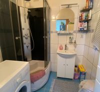 PRENÁJOM - 3-izbový byt - sídlisko Váh, Šaľa - Kúpeľňa s práčkou v 3-izbovom byte, sprchovací kút a umývadlo s úložným priestorom.