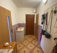 PRENÁJOM - 3-izbový byt - sídlisko Váh, Šaľa - Predsieň s podlahou v drevenom dekore v 3-izbovom byte.