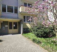 Na predaj 2 izbový byt Zvolen, 64 m2 - Vchod do bytového domu na M.R. Štefánika vo Zvolene, obklopený kvitnúcou magnóliou.