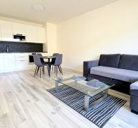 MODERNÝ 2i byt, POD VINICOU, LOGGIA, PARKING, Nové Mesto - Obývacia izba v 2-izbovom byte s podlahou s dreveným dekorom a kuchynskou linkou.