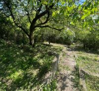 Rekreačná chata s pozemkom a panoramatickým výhľadom - Ovocinár - Zeleň a schodisko na ulici Ovocinár v Stupave vedľa chaty.