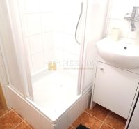 Krásny, moderne zariadený 1 izbový byt na prenájom - Kúpeľňa v 1-izbovom byte s kachličkami a sprchovacím kútom.