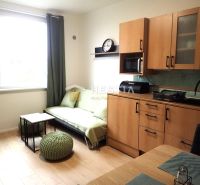 Krásny, moderne zariadený 1 izbový byt na prenájom - Obývacia časť 1-izbového bytu s kuchynskou linkou a podlahou s dreveným dekorom.