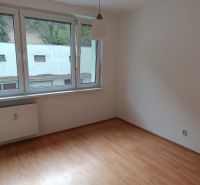 Na prenájom  veľkometrážny 3 izbový byt Nová Baňa - Izba v 3-izbovom byte s podlahou s dreveným dekorom a veľkým oknom.