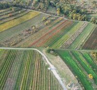 PREDAJ Vinohradu – Pezinok - Letecký pohľad na vinice v Pezinku s jesennými farbami viniča.