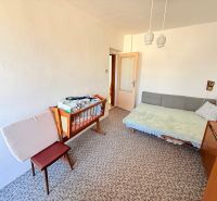 Rodinný dom s pivnicou, garážou a záhradou – Závod - Izba v rodinnom dome s pohovkou, detskou postieľkou a kobercovou podlahou.