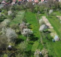 RODINNÝ DOM - CHALUPA S VEĽKÝM POZEMKOM | SKÝCOV - Kvetúce stromy a zelené polia v záhrade rodinného domu na Konopniskách v Skýcove.
