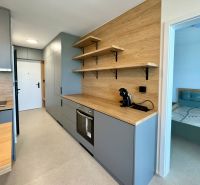 REZERVOVANÝ Na prenájom 2i luxusný zariadený byt na Terase - Kuchyňa v 2-izbovom byte s podlahou s dreveným dekorom a vstavanými spotrebičmi.
