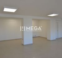Na prenájom - priestor na prízemí 61,50 m2 na ul. Tolstého v meste Hum - Obchodné priestory s bielymi stenami a dlažbou, sady svietidiel na strope.