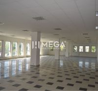 PRENÁJOM-Obchodný priestor v centre mesta Humenné-420m2 - Priestranné obchodné priestory s veľkými oknami a dlažbou, ideálne pre firmy.