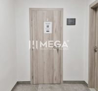 PRENÁJOM komerčného priestoru (26 m2) blízko centra Humenné - Dvere v obchodných priestoroch s podlahou v drevenom dekore.