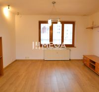 PREDAJ MEZONETOVÉHO BYTU (134 m2) v CENTRE HUMENNÉHO - Obývačka s podlahou s dreveným dekorom v 5 a viac izbovom byte.