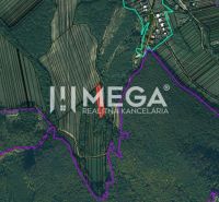 Predaj investičného pozemku v obci Jasenov - Letecká mapa so zvýrazneným pozemkom v oblasti Jasenov, ulica Jasenov, Zvláštne nehnuteľnosti.