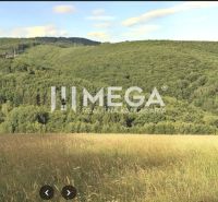 NA PREDAJ LESNÉ POZEMKY 7,8 ha MAŠKOVCE-DEDAČOV - Poľnohospodárske a lesné pozemky v Maškovciach s hustými lesmi a otvorenými lúkami.