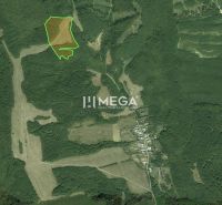 NA PREDAJ LESNÉ POZEMKY 7,8 ha MAŠKOVCE-DEDAČOV - Letecká mapa Poľnohospodárskych a lesných pozemkov v okolí dediny Maškovce.