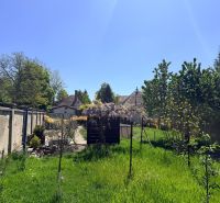 V exkluzívnom zastúpení majiteľa ponúkame na predaj rodinný dom - Záhrada pri rodinnom dome na Hlavnej ulici v Zavare s trávnikom a stromami.