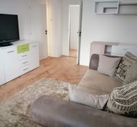 PRENÁJOM: ÚTULNÝ 2 IZBOVÝ BYT S BALKÓNOM, UHLISKO - Obývacia izba v 2-izbovom byte s pohodlnou pohovkou, drevený dekor podlahy a TV.