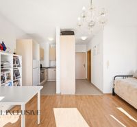 Na predaj 1-izb. s vlastným park. státím, Bratislava  - 1-izbový byt s knihovňou, kuchynskou linkou a podlahou s dreveným dekorom.