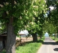 Stavebný pozemok v tichej lokalite mesta Lučenec - Cesta lemovaná kvitnúcimi stromami v Lučenci, vhodná pre Pozemky - bývanie.