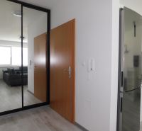 Moderný 2-izbový byt na prenájom-Hviezdoslavov–parkovanie,klimatizácia - Vstupná chodba s podlahou s dreveným dekorom, zrkadlovou skriňou a kuchynskou linkou v 2-izbovom byte.
