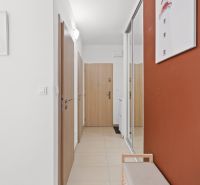 PREDAJ - Praktický 1i byt po rekonštrukcii, Toplianska - Chodba v 1-izbovom byte s tmavočervenou stenou a zrkadlovou šatníkovou skriňou.